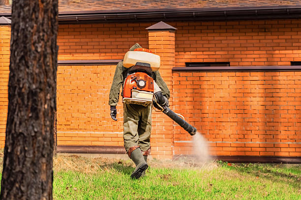 Bed Bug Clearance Verification and Documentation in Glasgow